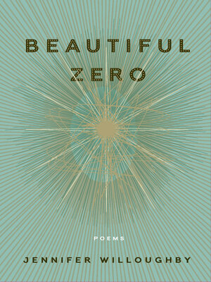 cover image of Beautiful Zero